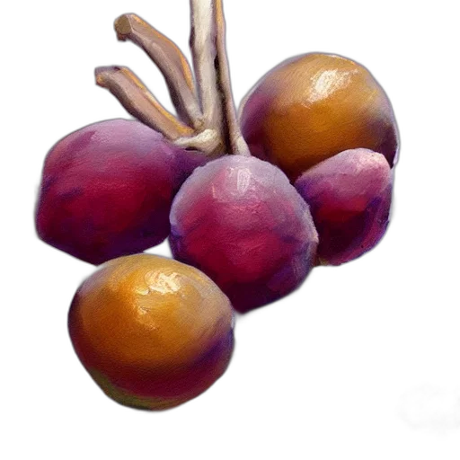 crown, food, jewelry, flower transparent PNG cut-out