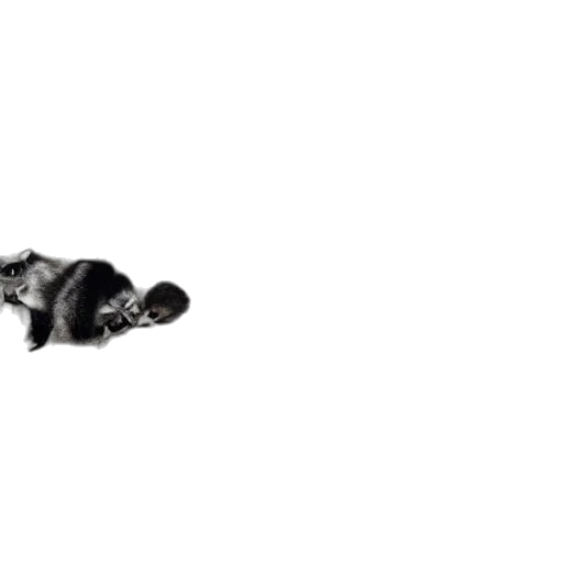 animal, robot, creature, staff transparent PNG cut-out