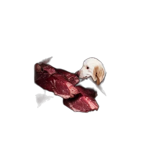 food, jewelry, animal, shoes transparent PNG cut-out