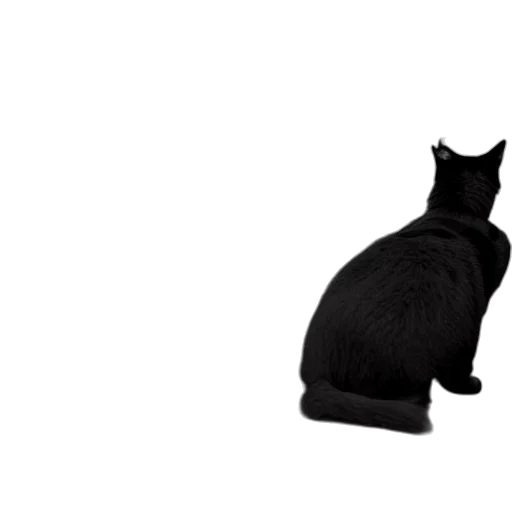 animal, hat, staff, creature transparent PNG cut-out