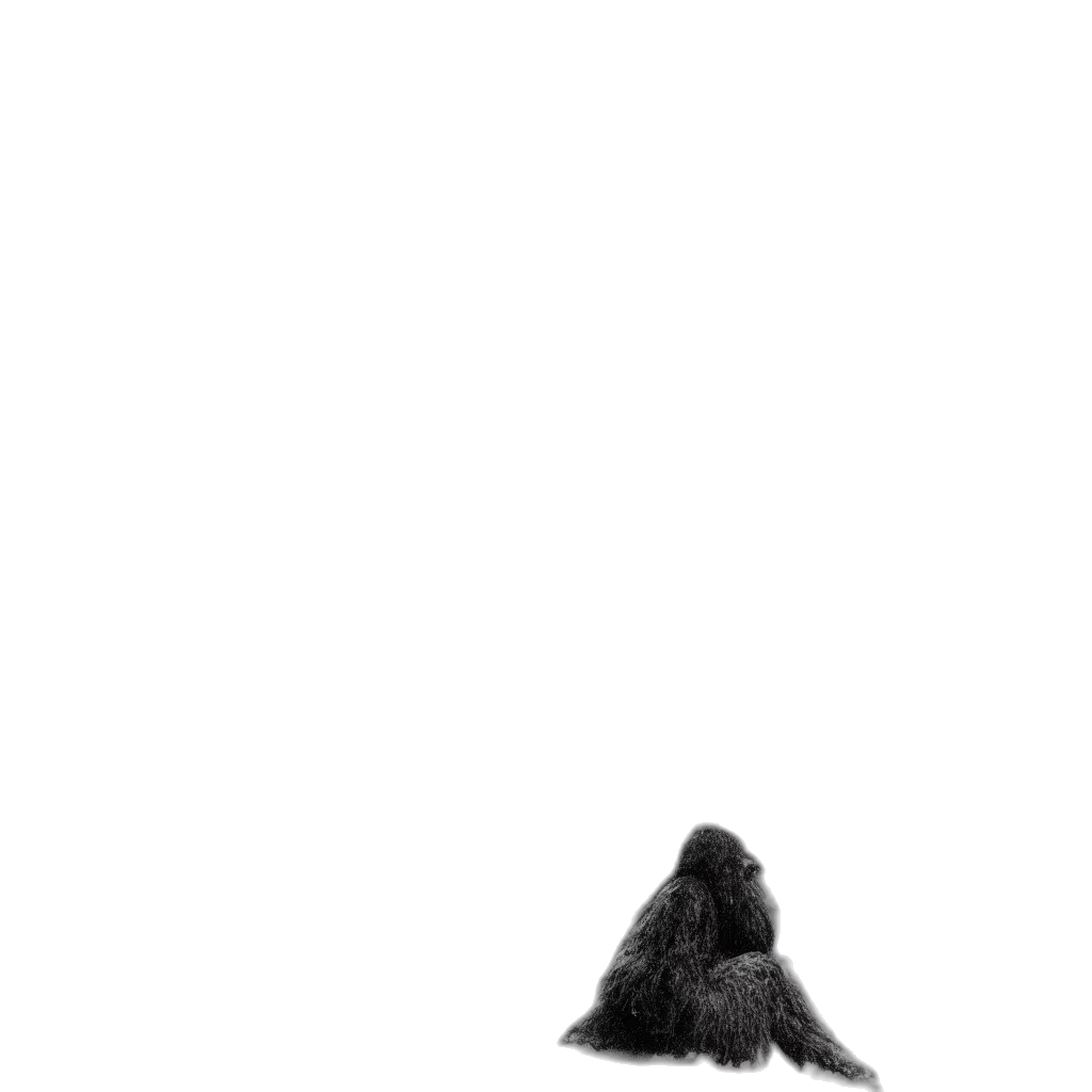animal, hair, creature, shoes transparent PNG cut-out