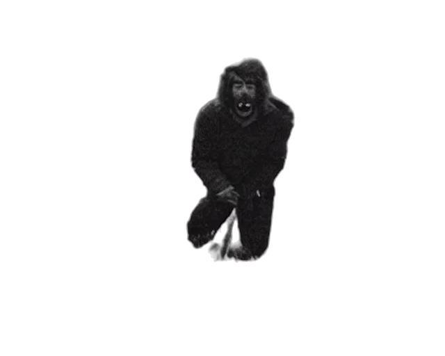 animal, creature, jacket, staff transparent PNG cut-out