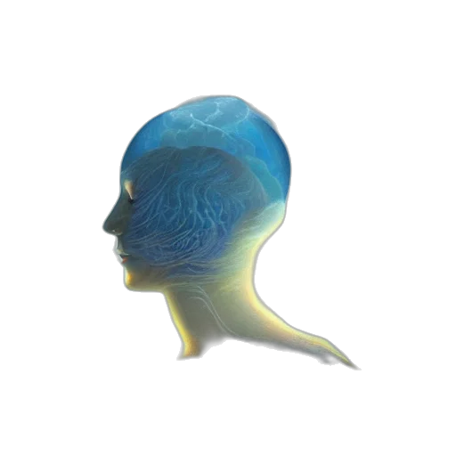 hair, crown, hat, mask transparent PNG cut-out