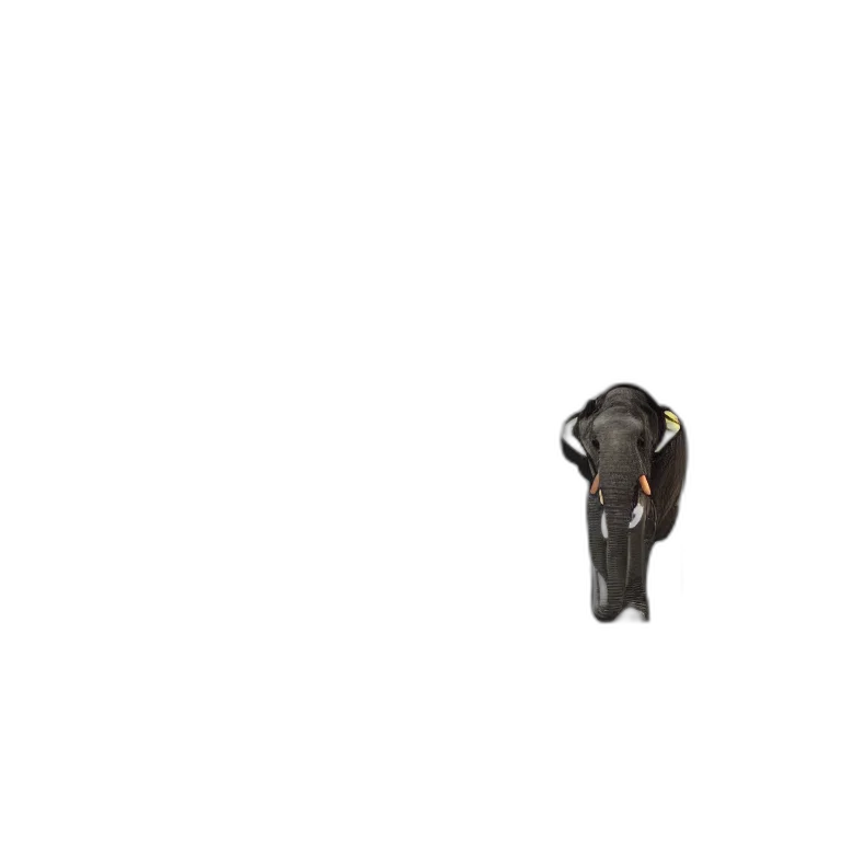 weapon, robot, staff, animal transparent PNG cut-out