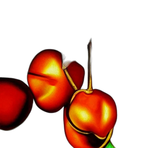crown, flower, food, weapon transparent PNG cut-out