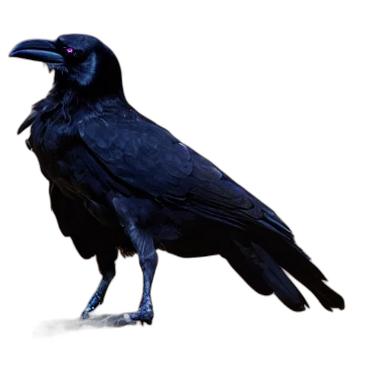 animal, creature, staff, jewelry transparent PNG cut-out