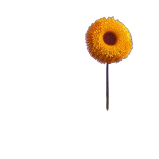 flower, staff, food, jewelry transparent PNG cut-out