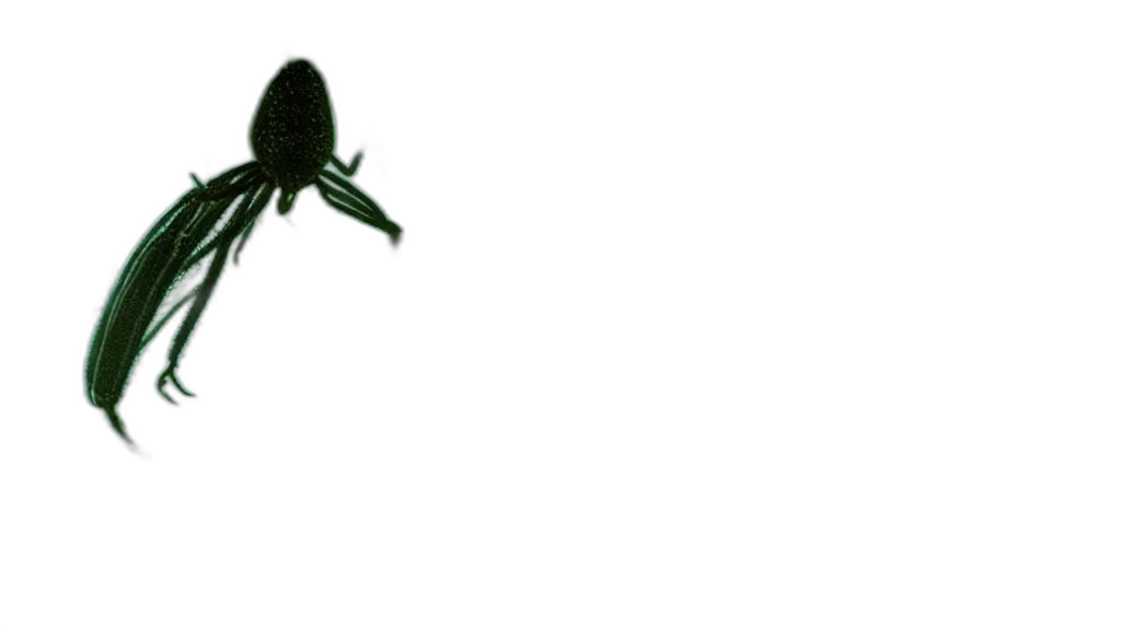 dragon, creature, animal, umbrella transparent PNG cut-out