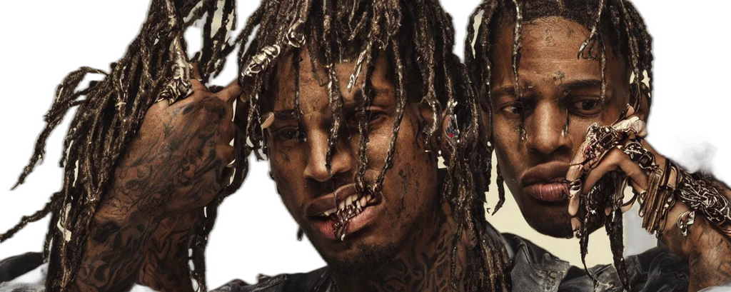 hair, travis, scott, intricate transparent PNG cut-out