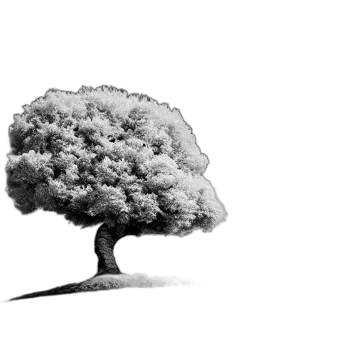 tree, crown, hair, umbrella transparent PNG cut-out