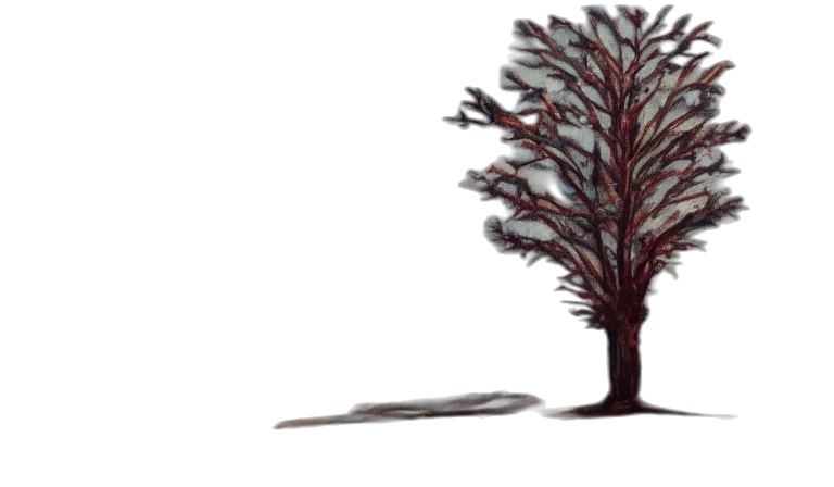 tree, crown, hair, creature transparent PNG cut-out