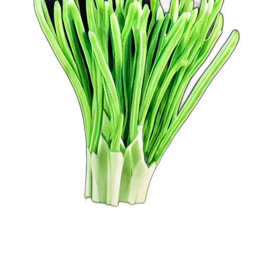 flower, food, crown, weapon transparent PNG cut-out