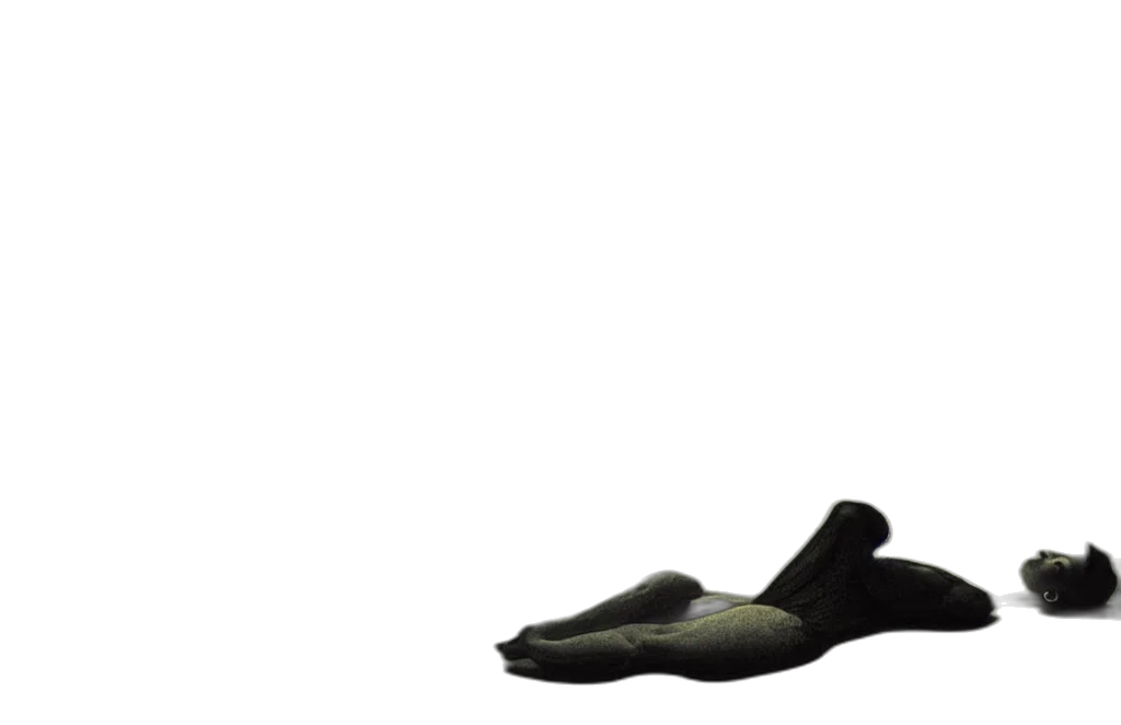 shoes, mask, animal, hat transparent PNG cut-out