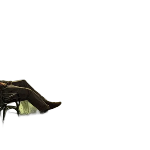 shoes, dragon, mask, creature transparent PNG cut-out