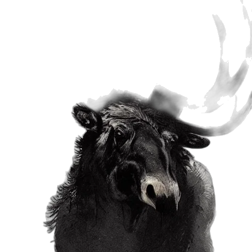 animal, crown, creature, mask transparent PNG cut-out