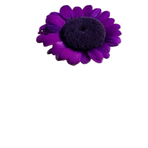 flower, crown, jewelry, hat transparent PNG cut-out