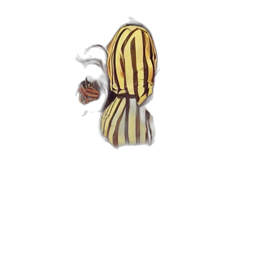 food, hair, hat, staff transparent PNG cut-out