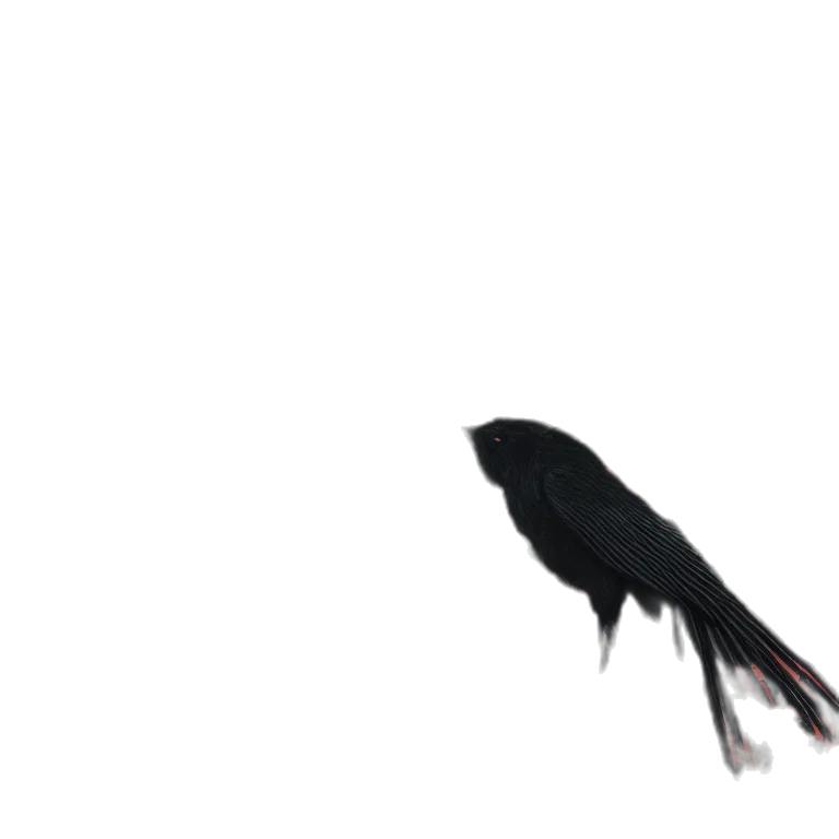 animal, creature, hair, dragon transparent PNG cut-out