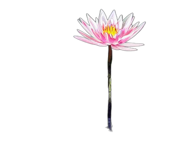 flower, staff, weapon, jewelry transparent PNG cut-out
