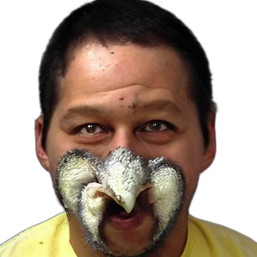 mask, face, creature, animal transparent PNG cut-out