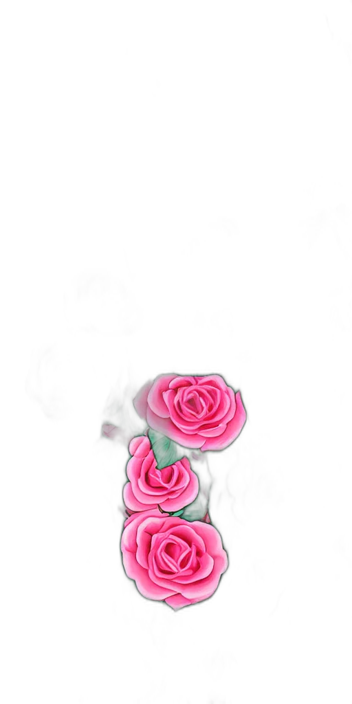 flower, jewelry, crown, dress transparent PNG cut-out