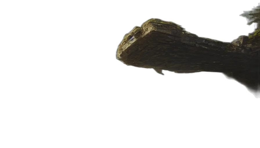 animal, dragon, creature, hat transparent PNG cut-out