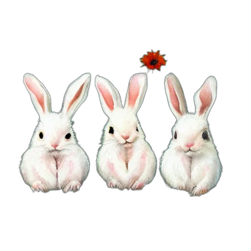 animal, photorealistic, 3d render, pixel art transparent PNG cut-out