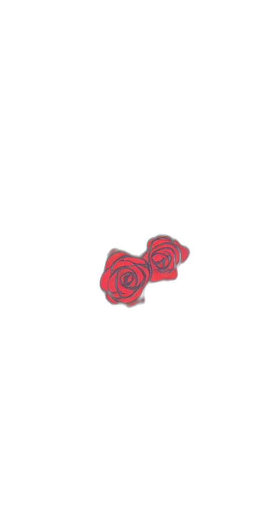 flower, jewelry, weapon, food transparent PNG cut-out