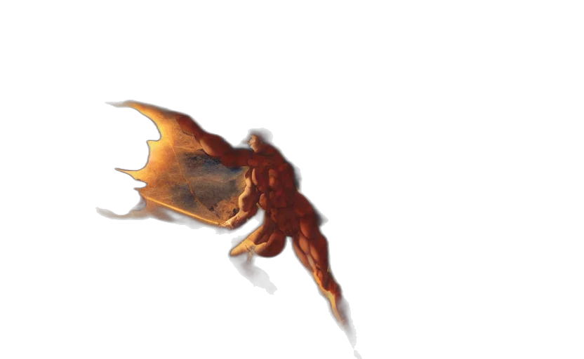 dragon, creature, weapon, hair transparent PNG cut-out