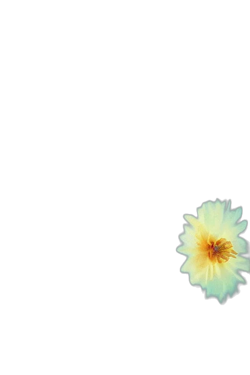 flower, crown, staff, jewelry transparent PNG cut-out