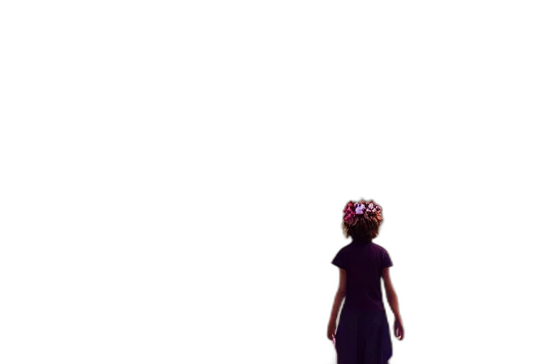 dress, crown, creature, flower transparent PNG cut-out