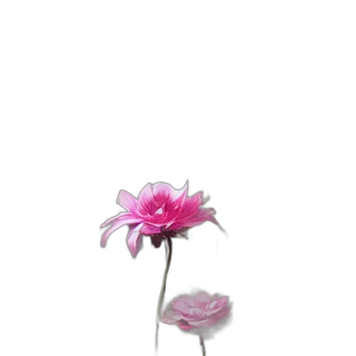flower, crown, jewelry, staff transparent PNG cut-out