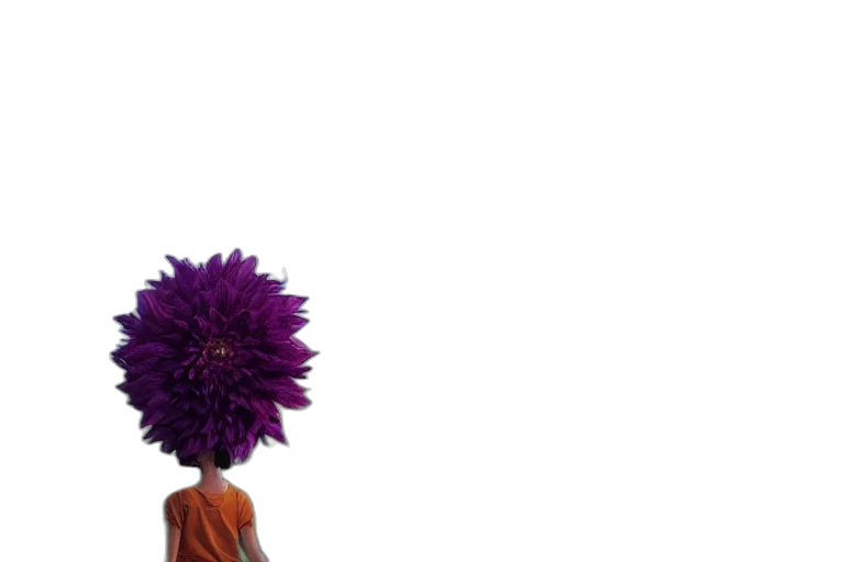 flower, hair, crown, umbrella transparent PNG cut-out