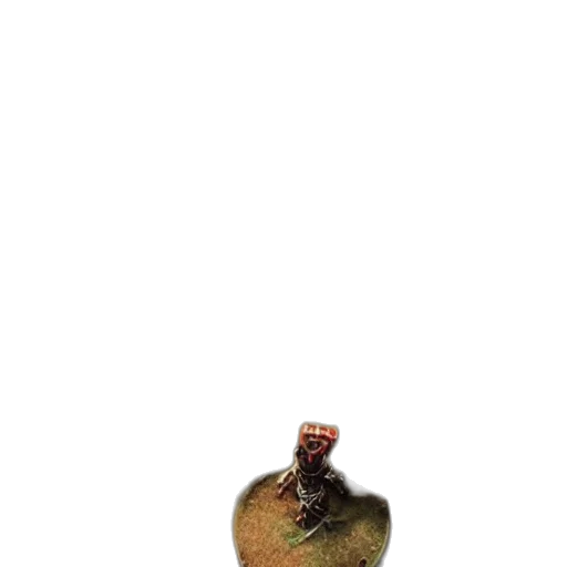 animal, creature, food, hat transparent PNG cut-out
