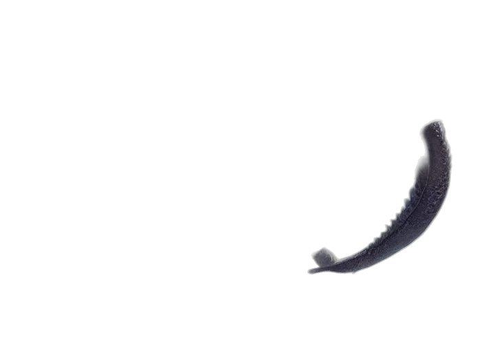staff, hair, shoes, dragon transparent PNG cut-out