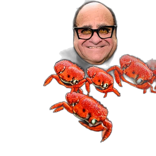 animal, creature, food, crown transparent PNG cut-out