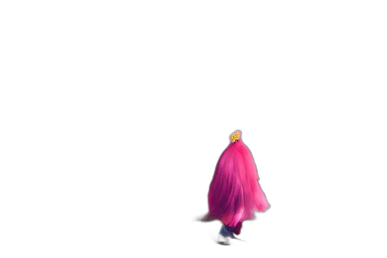 hair, creature, dress, animal transparent PNG cut-out