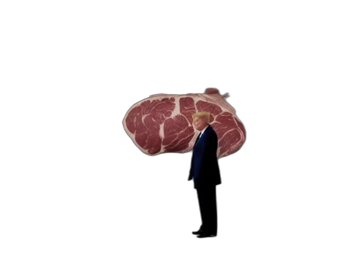 animal, food, creature, jacket transparent PNG cut-out