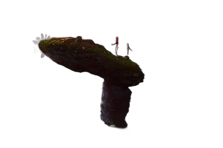 staff, sword, tree, hat transparent PNG cut-out