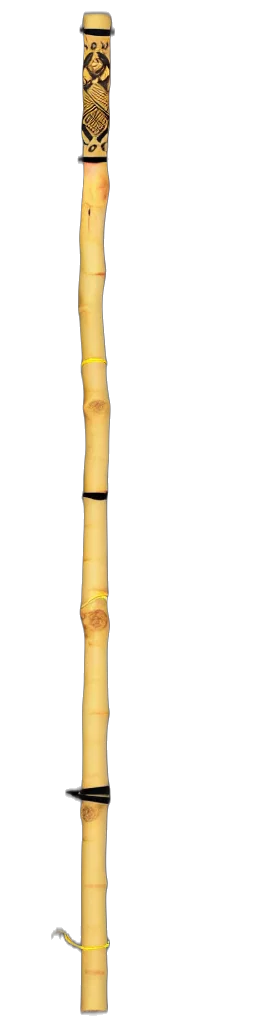 staff, weapon, sword, umbrella transparent PNG cut-out