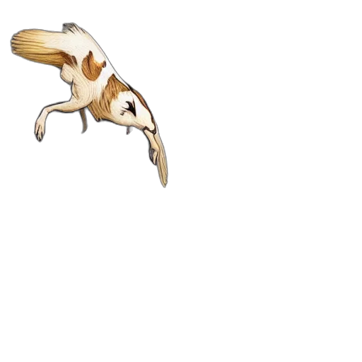 animal, dragon, creature, weapon transparent PNG cut-out