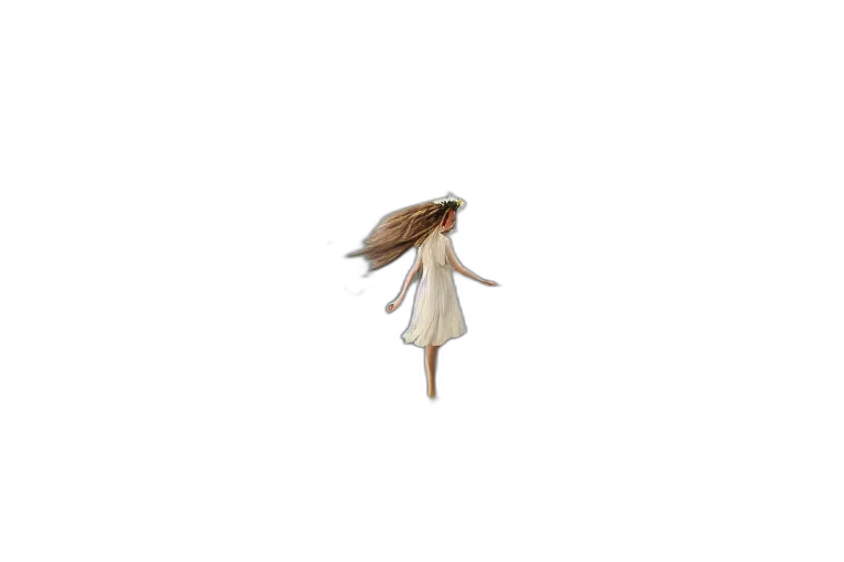 hair, dress, creature, animal transparent PNG cut-out