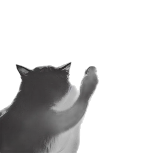 animal, creature, robot, hat transparent PNG cut-out
