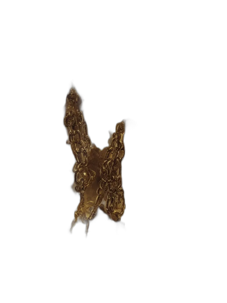 hair, crown, dragon, food transparent PNG cut-out