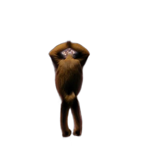 animal, creature, staff, hair transparent PNG cut-out