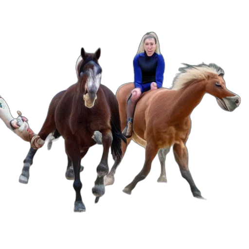 animal, 3d render, photorealistic, concept art transparent PNG cut-out