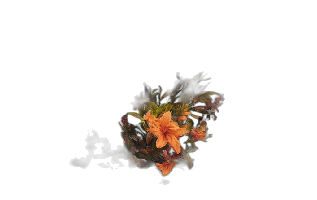 flower, crown, dragon, hat transparent PNG cut-out