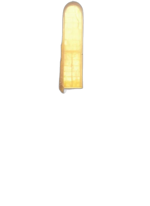 sword, bottle, weapon, staff transparent PNG cut-out