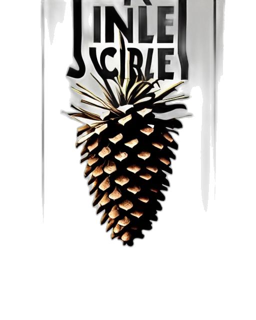 crown, fire, poster, stanley transparent PNG cut-out