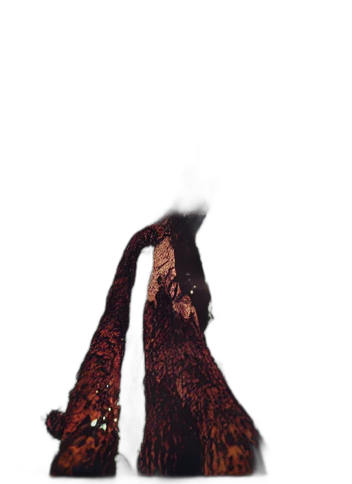 dress, hair, mask, jacket transparent PNG cut-out